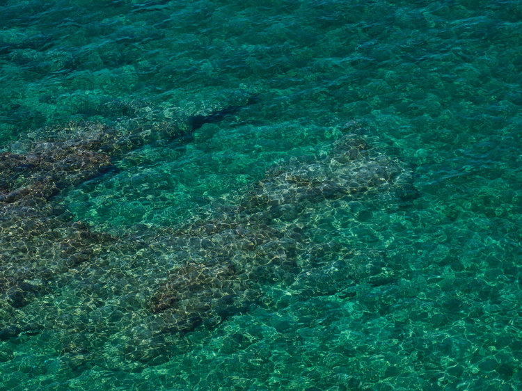 COD監(jiān)測(cè)儀